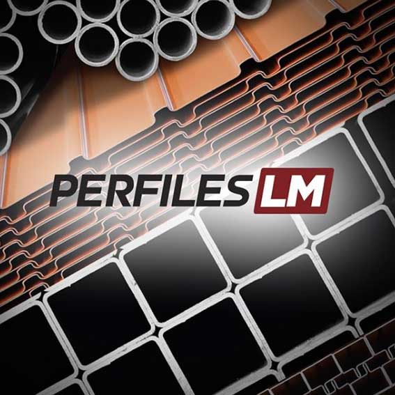 Perfiles LM